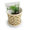 Kit De Plantation Dans Pot En Carton 2 Formats GOBKIT