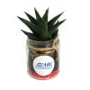 Mini Plante Dépolluante Dans Bocal Rétro En Verre BOCAUX DE PLANTES Sticker Mini Plante Dépolluante Dans Bocal Rétro En Verre BOCAUX DE PLANTES Sticker