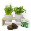 Kit De Plantation Aromatiques Sur Plateau En Bois PLATEAU DUO AROMATIQUES Kit De Plantation Aromatiques Sur Plateau En Bois PLATEAU DUO AROMATIQUES