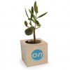 Plant D'arbre Ou Plante Dans Cube En Bois ARBRACUBE Olivier