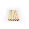 6 Crayons De Couleur à Planter Dans Coffret Carton Publicitaire Sans Boite SPROUTCOLOR