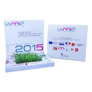 Carte de voeux avec graines de gazon personnalisée - Mef - CARTE JARDIN