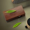 Enceinte Interactive Promotionnelle En Bois En Situation WILD POWER
