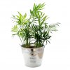 Grande Plante Dans Pot En Zinc Publicitaire Palmier DECO