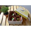 Kit De Culture Aromatique Dans Coffret En Bois Publicitaire COFFRET AROMATIQUES BOIS