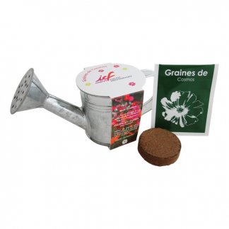 Kit de plantation dans arrosoir en zinc personnalisé - naturel - L'ARROSOIR A GRAINES