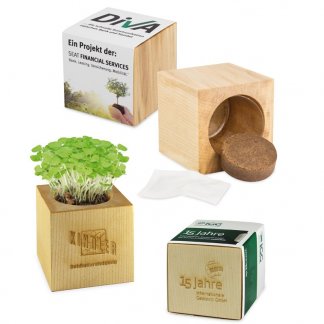 Kit de plantation dans cube en bois promotionnel - Grand format - CUBE BOIS