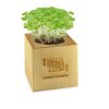 Kit De Plantation Dans Cube En Bois Publicitaire Grand Format Poussé CUBE BOIS Kit De Plantation Dans Cube En Bois Publicitaire Grand Format Poussé CUBE BOIS