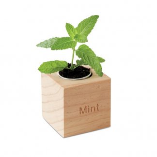 Kit de plantation dans cube en bois publicitaire - MINT