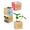 Kit De Plantation Dans Cube En Bois Publicitaire Petit Format CUBE BOIS Kit De Plantation Dans Cube En Bois Publicitaire Petit Format CUBE BOIS