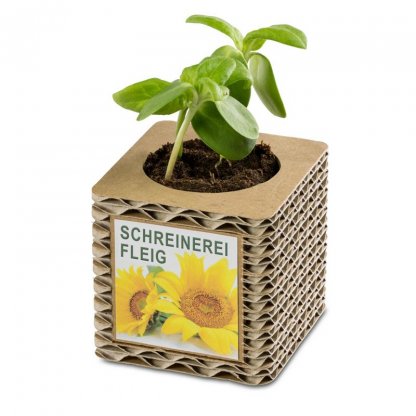 Kit De Plantation Dans Cube En Carton Poussé 2 Formats CUBE CARTON ONDULE