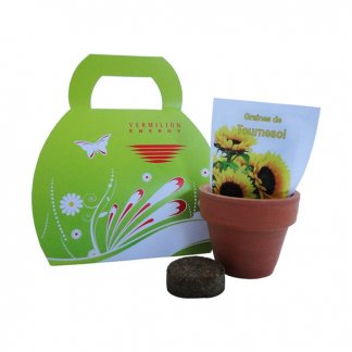 Kit de plantation dans mallette en carton recyclé personnalisée - MALLETTE KID