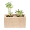 Kit De Plantation Dans Pot En Bois Promotionnel Avec 2 Emplacements SET 2 CUBES BOIS