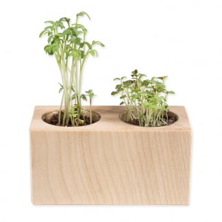 Kit de plantation dans pot en bois promotionnel avec 2 emplacements - SET 2 CUBES BOIS