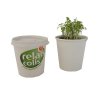Kit De Plantation Dans Pot En Carton Publicitaire Ø9cm GOBKIT