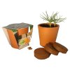 Kit De Plantation Dans Pot En Terre Cuite Ø10cm KITTERRE Kit De Plantation Dans Pot En Terre Cuite Ø10cm KITTERRE