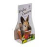 Kit De Plantation Dans Pot En Terre Cuite Avec Pochette Carton Personnalisée Lapin