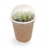 Kit De Plantation Personnalisable Dans Gobelet En Carton Et Dôme Biodégradables Poussé SMOOTHIE