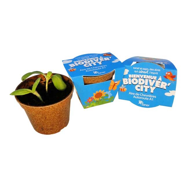 Pot de germination,Sachets de plantes biodégradables,100 pièces