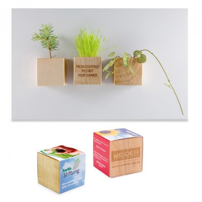 Kit De Plantation Promotionnel Dans Cube En Bois Avec Aimant CUBE BOIS AIMANT
