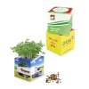 Kit De Plantation Promotionnel Dans Pot En Polystyrène CUBE VEGETAL