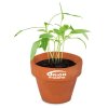 Kit De Plantation Promotionnelle Dans Mini Pot En Terre Cuite Avec Fourreau Chapeau Avec Marquage Pot Kit De Plantation Promotionnelle Dans Mini Pot En Terre Cuite Avec Fourreau Chapeau Avec Marquage Pot