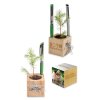 Kit De Plantation Publicitaire Dans Cube En Bois Avec Porte Stylos CUBE BOIS DE BUREAU