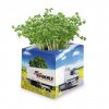 Kit De Plantation Publicitaire Dans Pot En Polystyrène Ouvert CUBE VEGETAL