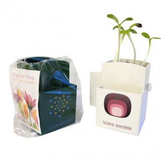 Kit de plantation publicitaire dans pot recyclé spécial écran ordinateur - LA VEGETAL BOX KIT