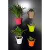 Mini Plante Dans Pot En Zinc Aimanté Publicitaire AIMANPOT
