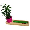 Mini Plante Dans Pot Et Plateau En Bois Publicitaire Pot Rose LE PLATEAU NATURE Mini Plante Dans Pot Et Plateau En Bois Publicitaire Pot Rose LE PLATEAU NATURE