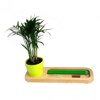 Mini plante dans pot et plateau en bois publicitaire - pot vert - LE PLATEAU NATURE