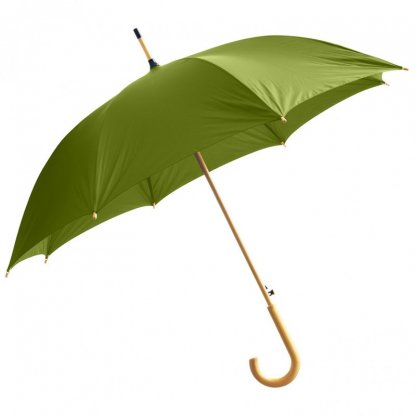 Parapluie Ville Personnalisé En Bouteilles Plastiques Recyclées Vert WOODTOWN