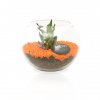 Plante Dépolluante Dans Boule En Verre Publicitaire Orange BOX PETIT TERRARIUM