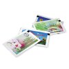Sachet De Graines Promotionnel En Papier 8 X 5,5 Cm SAMONTE