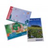 Sachet De Graines Publictaire En Papier 100x150mm SAPOUSSE Sachet De Graines Publictaire En Papier 100x150mm SAPOUSSE