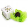 Bombe à Graines Dans Cube En Carton BOMBE CUBE Bombe à Graines Dans Cube En Carton BOMBE CUBE