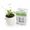 Kit De Plantation Dans Pot Recyclé En Forme D'œuf KIT OEUF Marquage