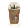 Plante Dans Gobelet Engrais Et Dôme Biodégradables SMOOTHIE PLANTE Avec Sticker Plante Dans Gobelet Engrais Et Dôme Biodégradables SMOOTHIE PLANTE Avec Sticker