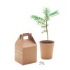 Kit De Plantation Dans Gobelet En Carton GROWTREE KIT Arbre Poussé Kit De Plantation Dans Gobelet En Carton GROWTREE KIT Arbre Poussé