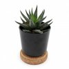 Plante Dépolluante Dans Pot En Bambou Avec Couvercle En Liège BAMBA Noir Plante Dépolluante Dans Pot En Bambou Avec Couvercle En Liège BAMBA Noir