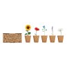 Kit De Culture De Fleurs FLOWERS Fleurs