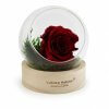 Rose éternelle Avec Son Socle En Bois ROSA Principal Rose éternelle Avec Son Socle En Bois ROSA Principal