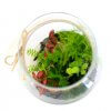 Terrarium Tropical Avec Plusieurs Dimensions TERRATROPIC Vue Dessus