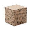 Kit De Plantation Dans Boite En Carton BOMBI Coté Boite Kit De Plantation Dans Boite En Carton BOMBI Coté Boite