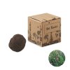 Kit De Plantation Dans Boite En Carton BOMBI Fleurs D'abeille Kit De Plantation Dans Boite En Carton BOMBI Fleurs D'abeille