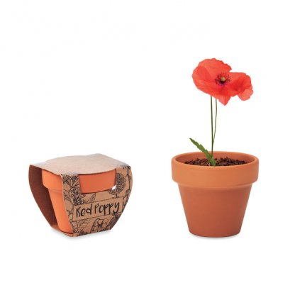 Kit De Plantation Dans Mini Pot En Terre Cuite Et Fourreau SUNFLOWER Coquelicot