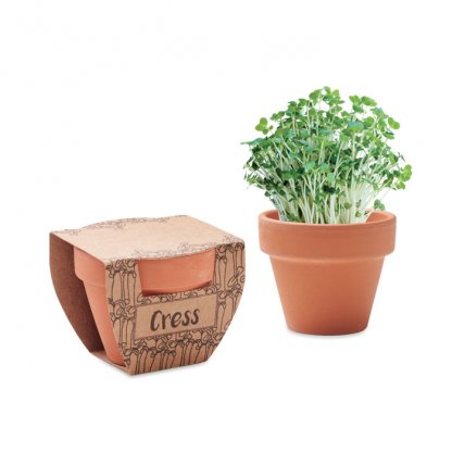 Kit De Plantation Dans Mini Pot En Terre Cuite Et Fourreau SUNFLOWER Cresson
