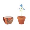 Kit De Plantation Dans Mini Pot En Terre Cuite Et Fourreau SUNFLOWER Myosotys