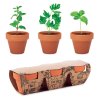 Kit De Plantation Dans Pot En Terre Cuite 3 Pots FLOWERPOT Présentation